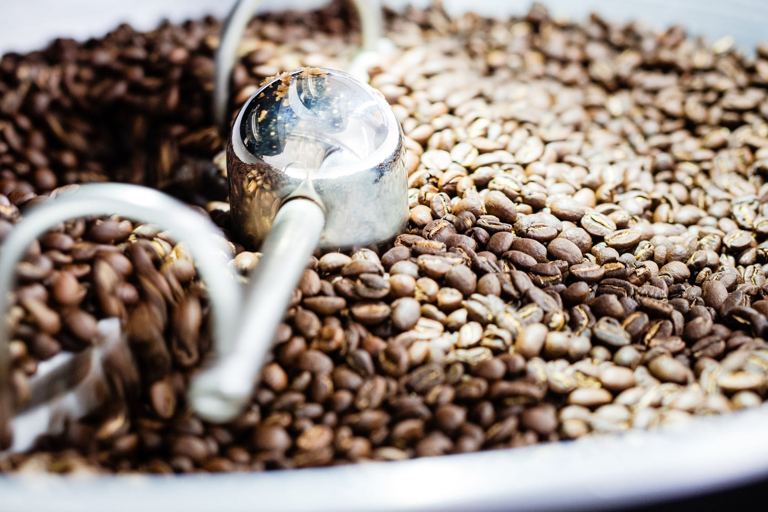 Spezialitäten Kaffee: So entsteht Kaffee in unserer Rösterei