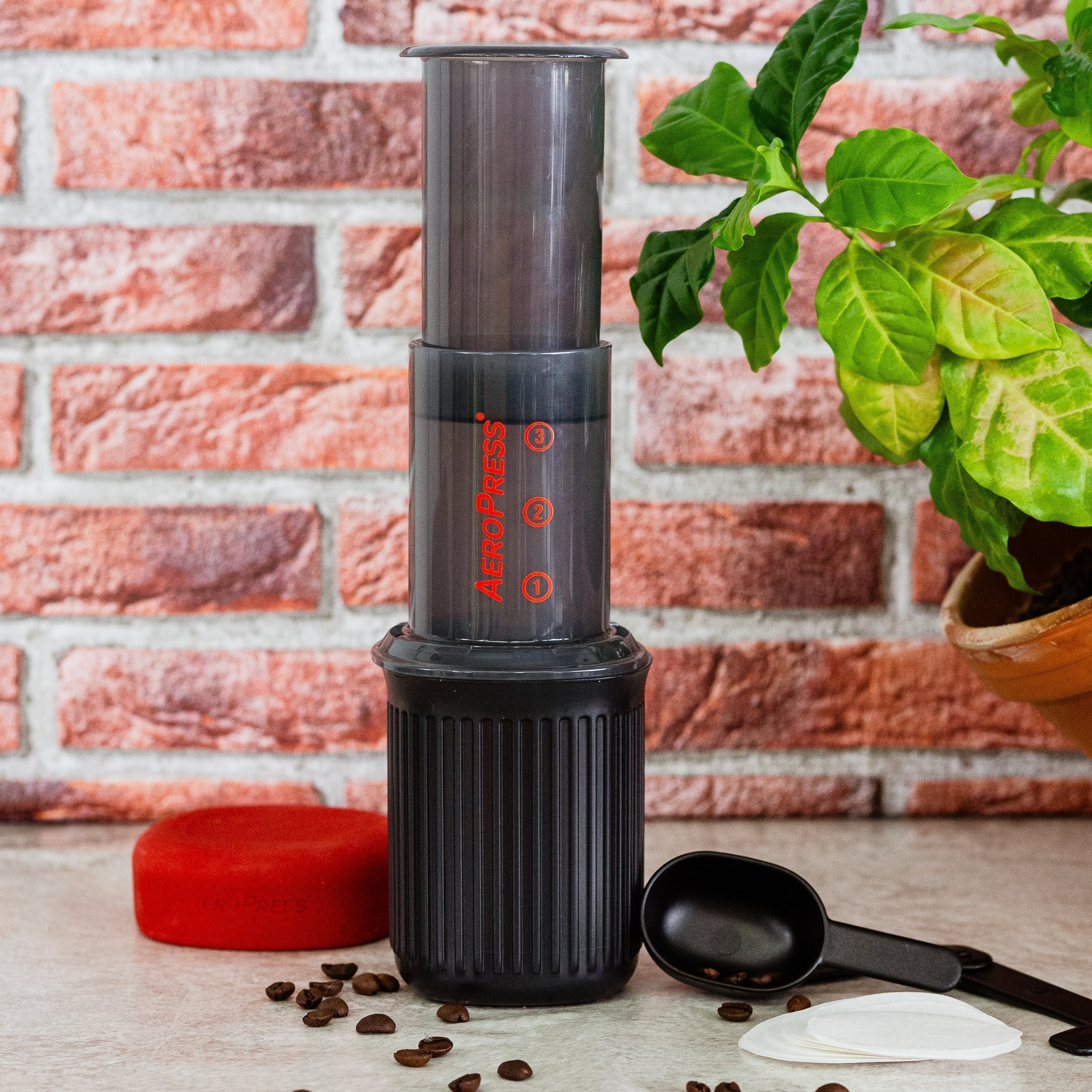 Kaffee in der AeroPress richtig zubereiten