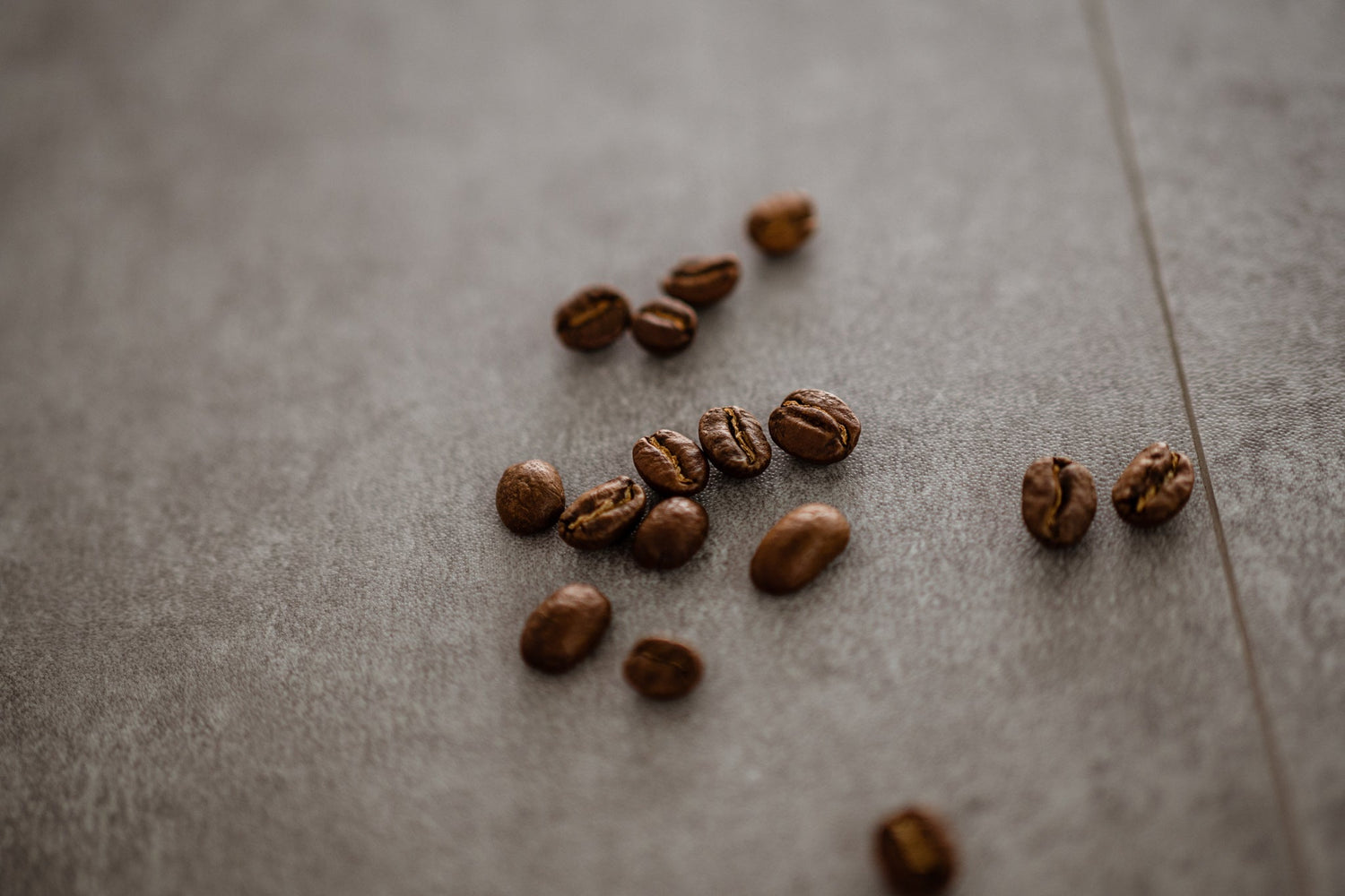 Arabica Bohne: Die älteste kultivierte Kaffee Art der Welt