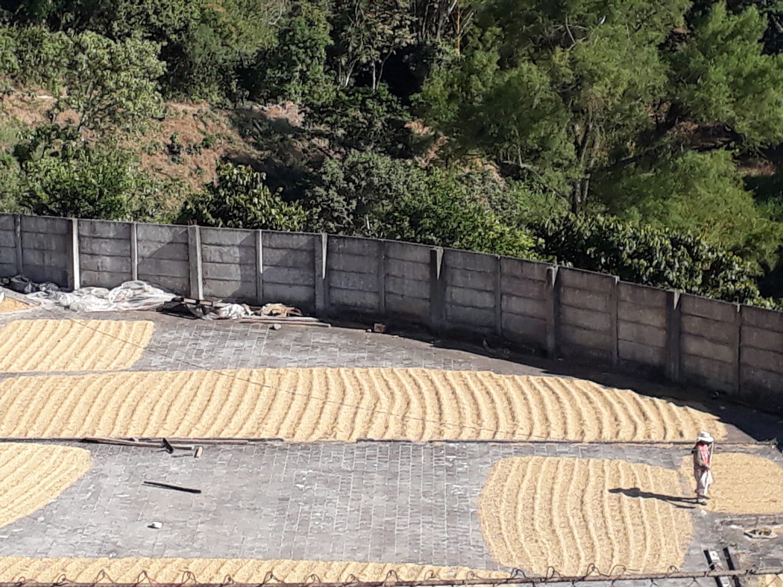 Warum die Herkunft für einen guten Kaffee so wichtig ist