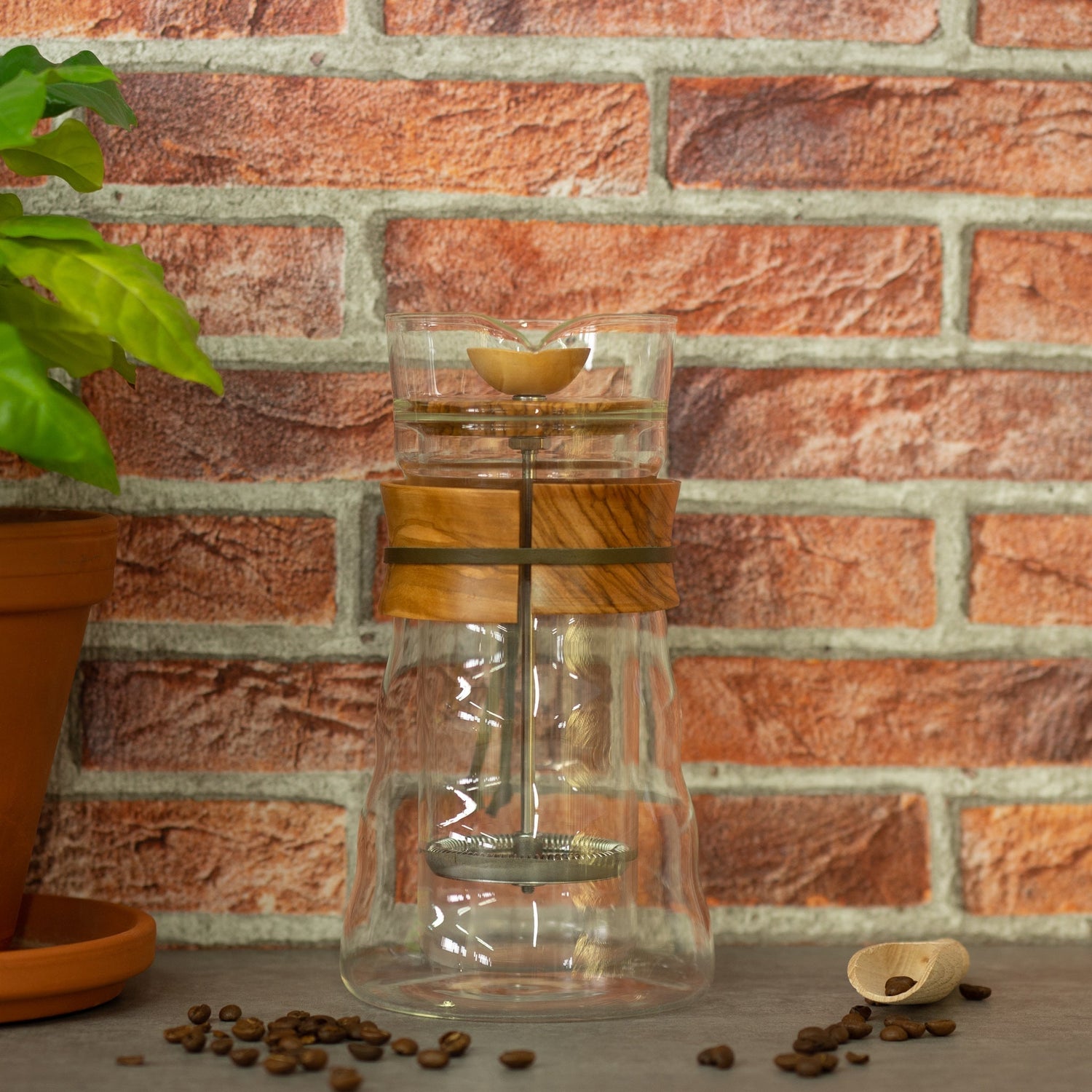 French Press Kaffee perfekt zubereiten