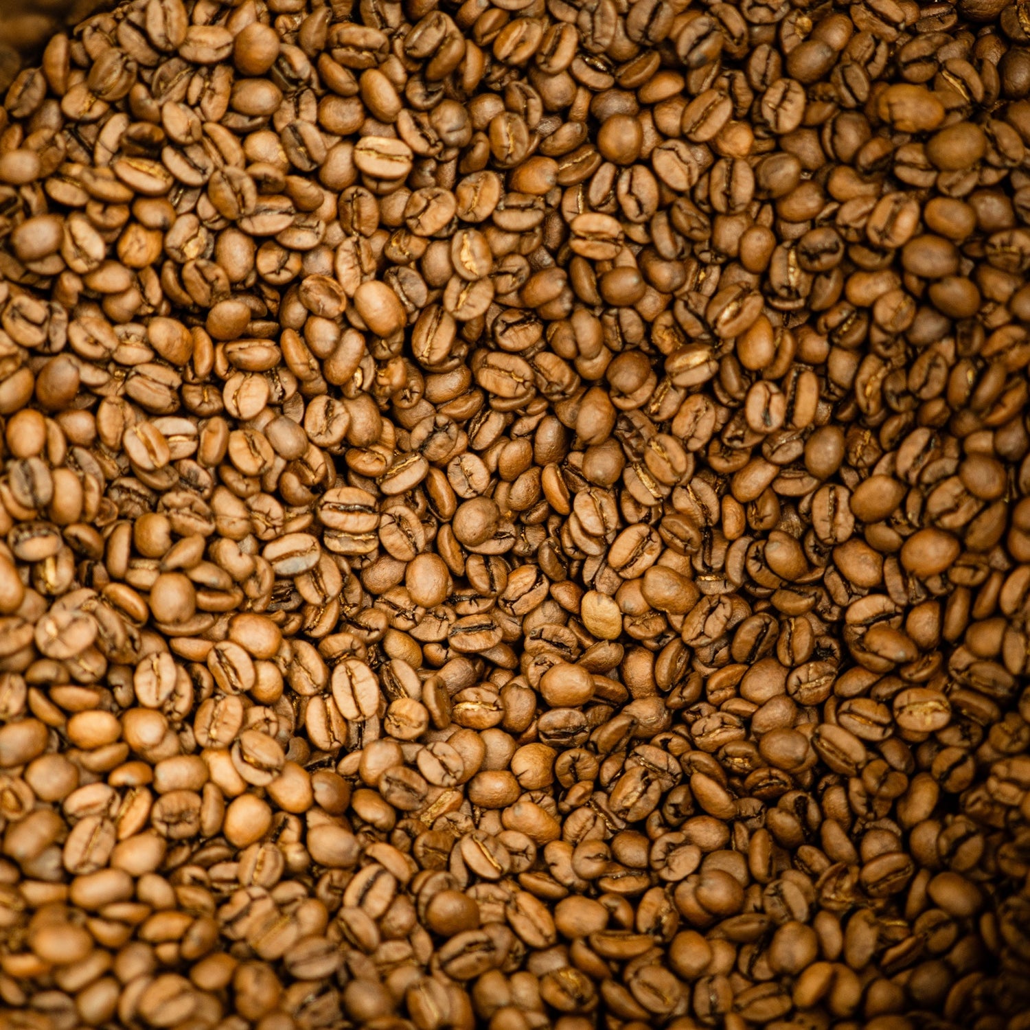 Industriell verarbeitet oder schonender Röstprozess beim Kaffee?