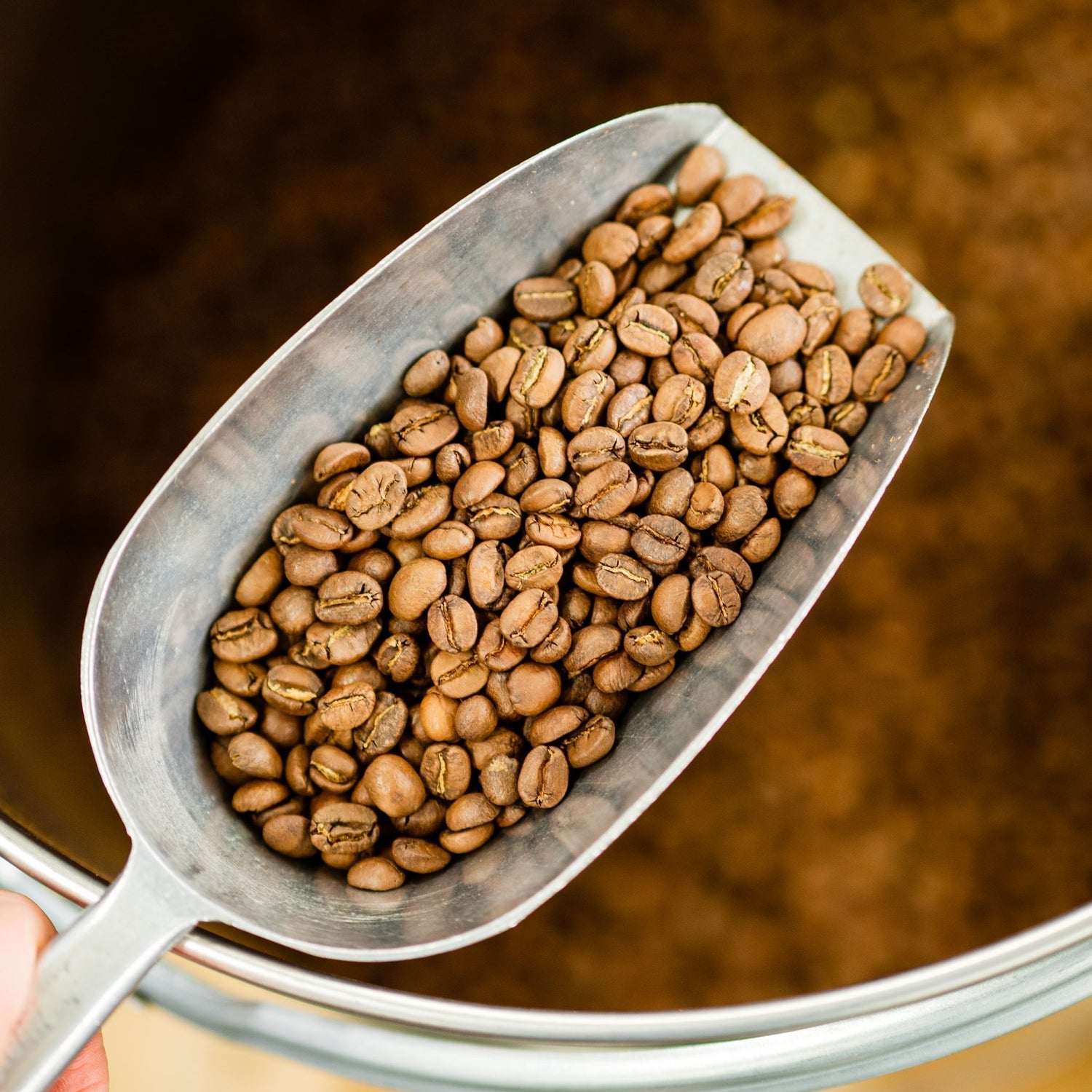 Röstprozess und Röstgrad: Kaffee perfekt rösten