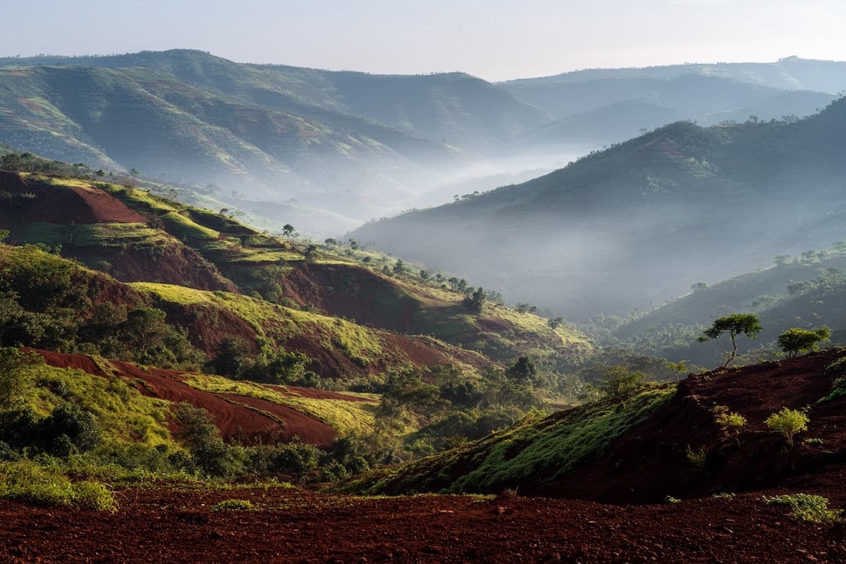 Klimawandel und Specialty Coffee: Wie Qualität den nachhaltigen Wandel fördert