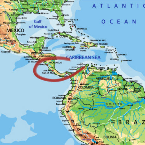 #León schokoladig-beeriger Kaffee aus Costa Rica