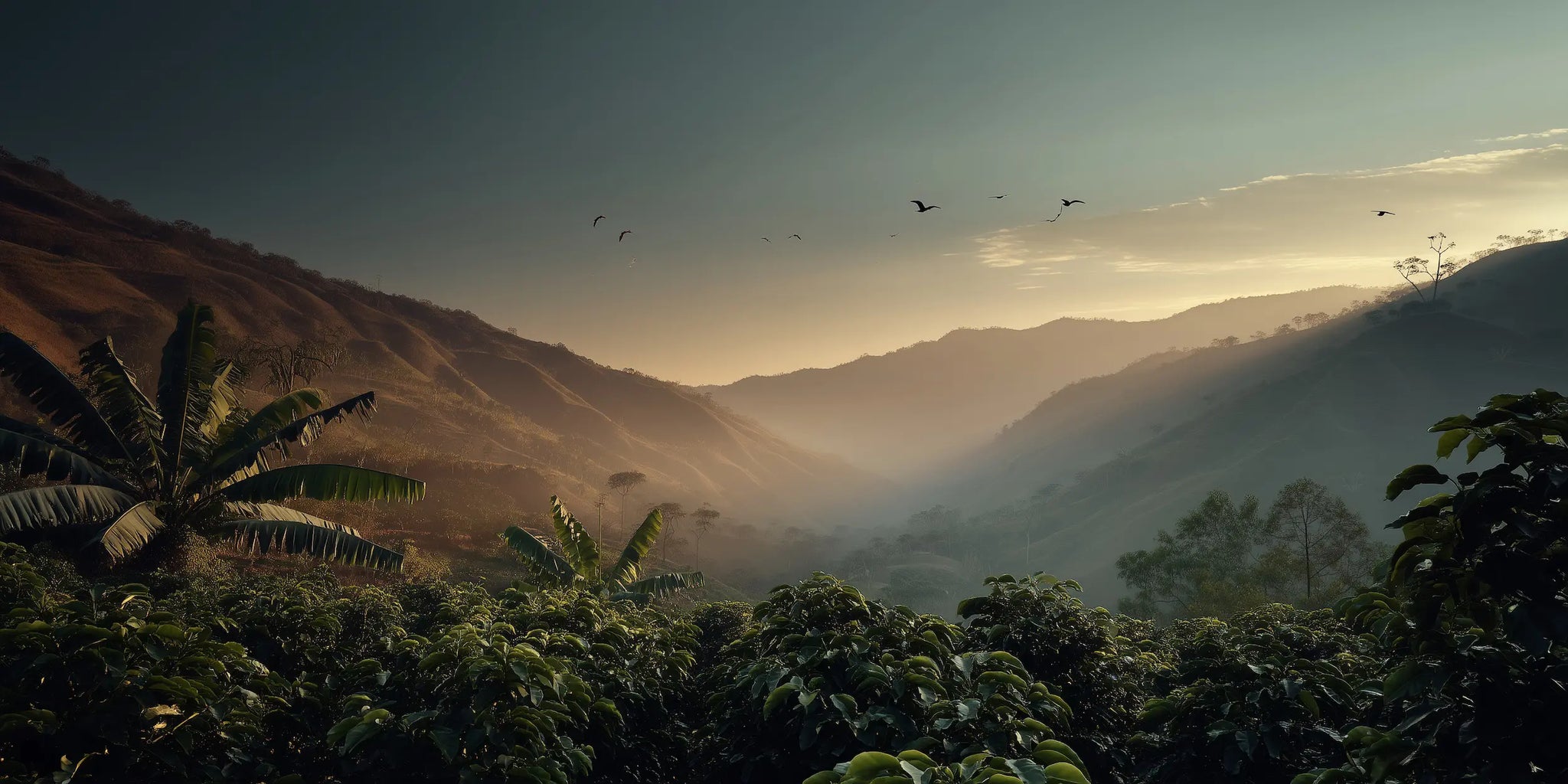 Flatberry ♣ Rösterei für Specialty Coffee ♥ Trommelröstung